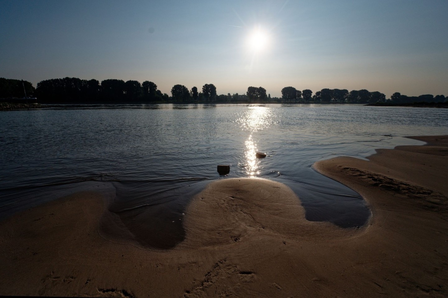 Die Sonne spiegelt sich auf dem Rhein bei Köln-Langel.