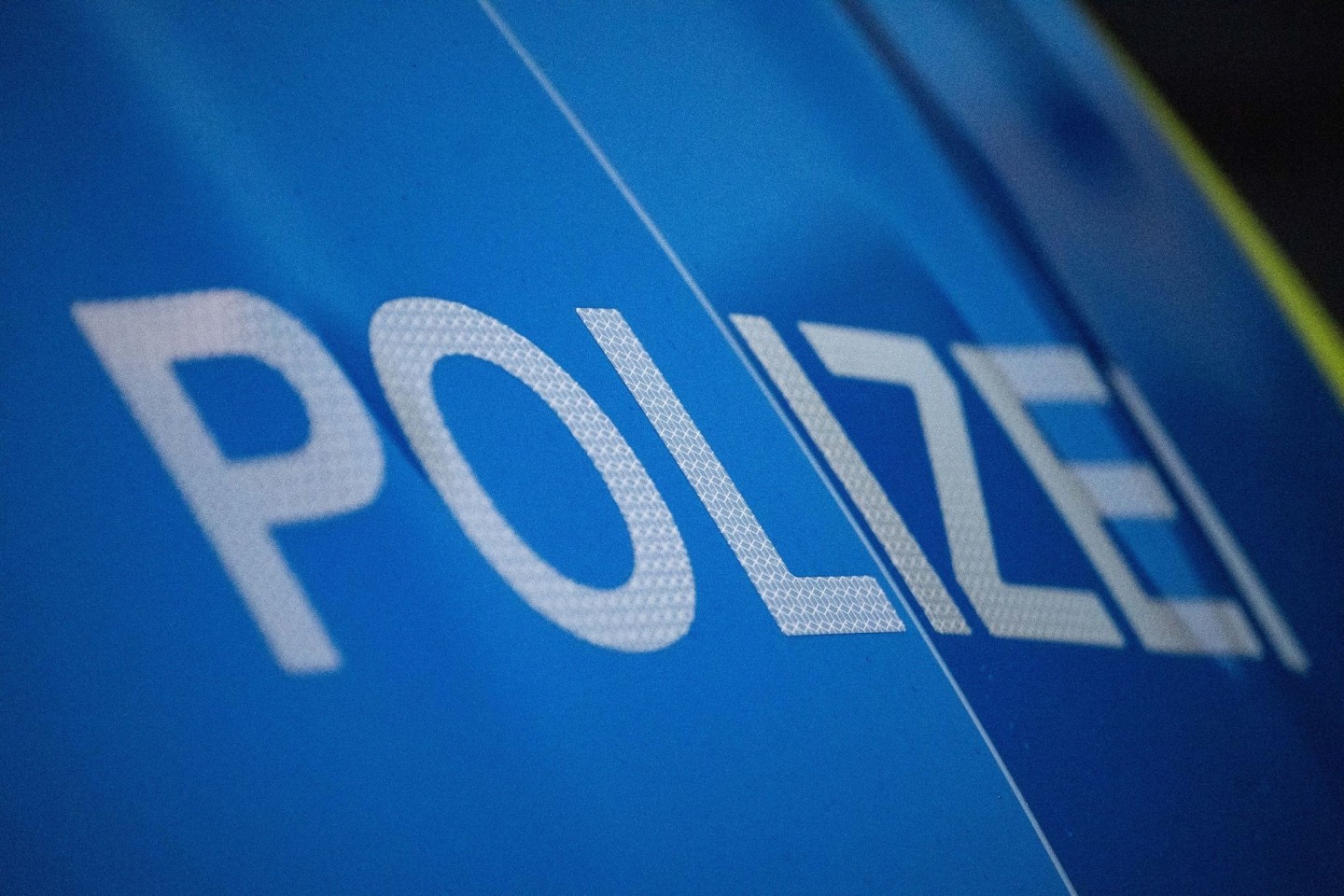 Die Polizei hat vier mutmaßliche Metalldiebe gefasst.