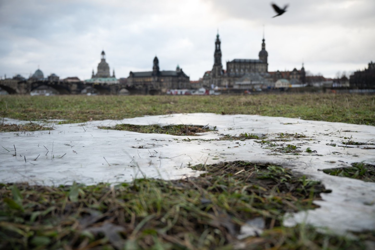 Die Elbwiesen gegenüber der historischen Dresdner Altstadtkulisse sind vom letzten Hochwasser gefroren.