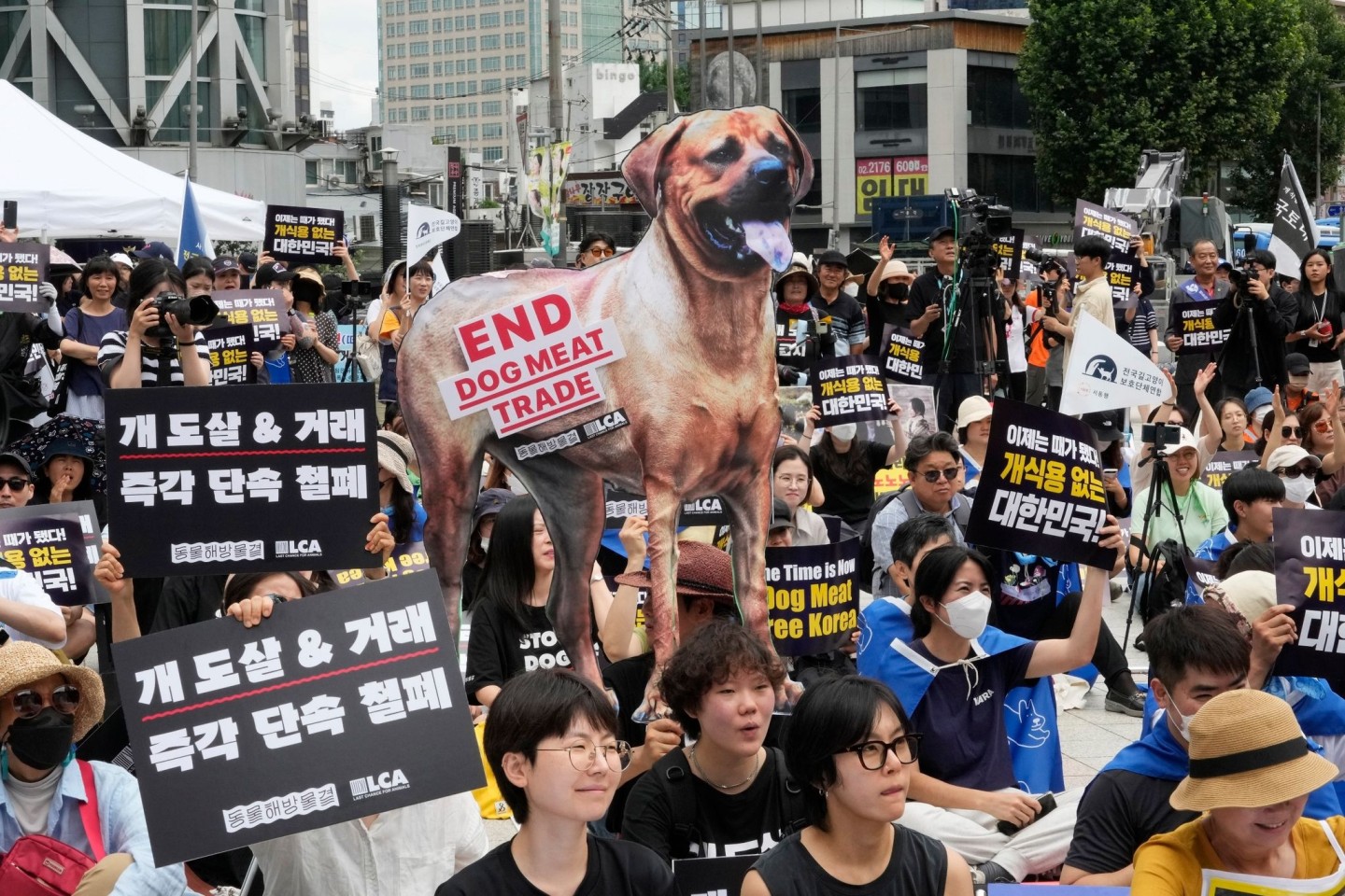 Tierschützer veranstalten eine Kundgebung gegen die traditionelle Kultur des Verzehrs von Hundefleisch in Südkorea.