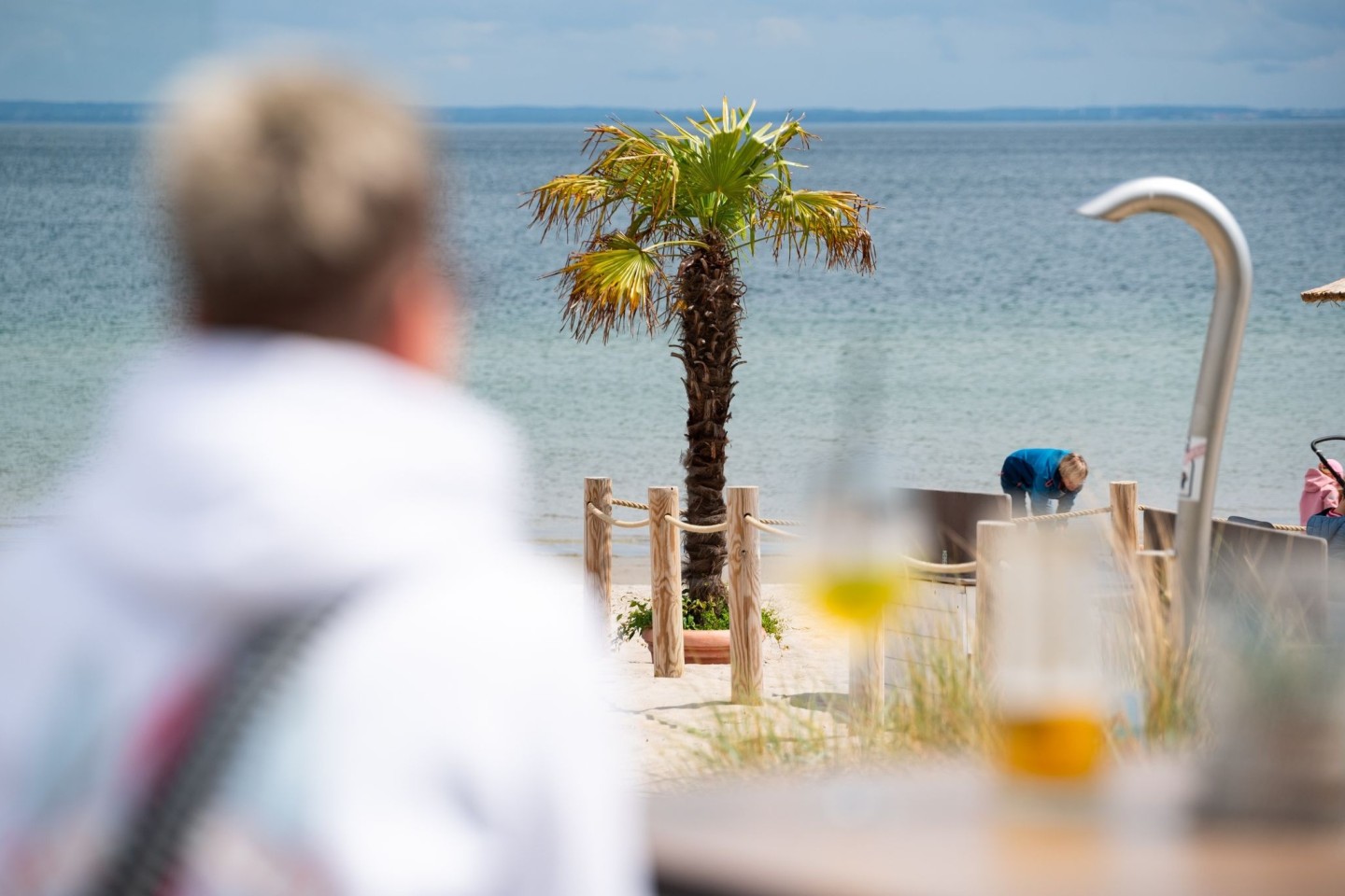 Mallorca oder doch Ostsee? Palmen sollen für mehr Urlaubsgefühl sorgen.