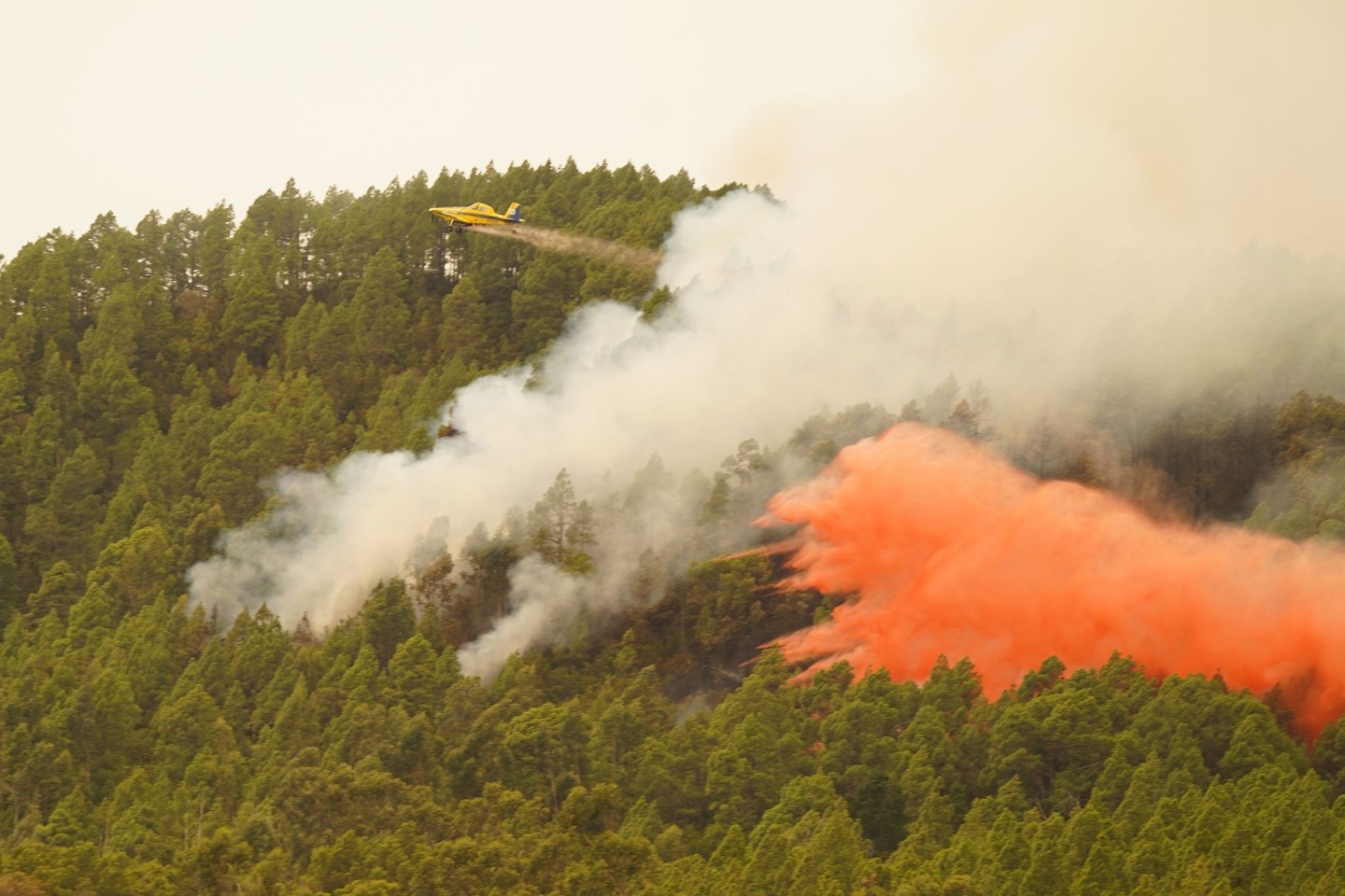 Ein Löschflugzeug wirft Wasser auf den Waldbrand in der Nähe der Gemeinde El Rosario auf Teneriffa.