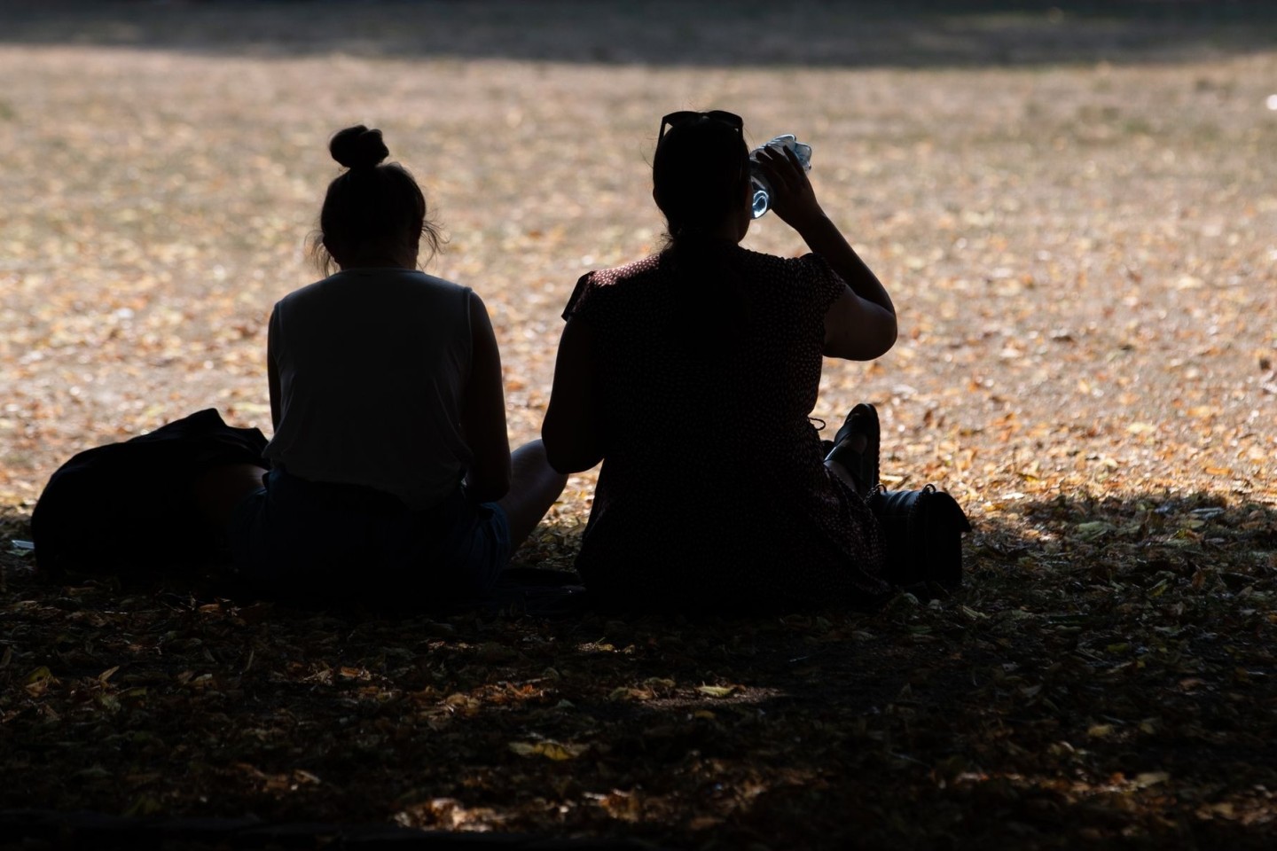Zwei Frauen sitzen in einem Park im Schatten der Bäume, um sich vor der Hitze zu schützen.