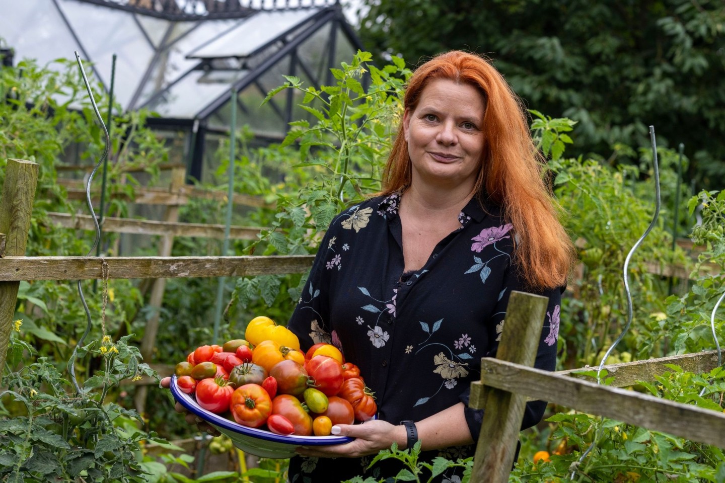 In Birgit Arndts Garten wachsen weit über 100 verschiedene Tomatensorten.